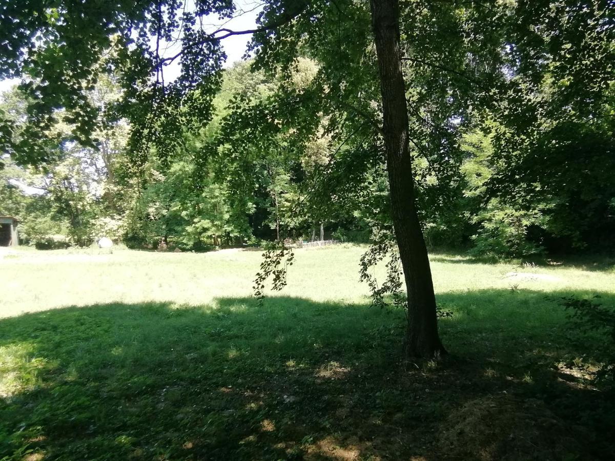 Apartament Waldhaus Pat Galambok Zewnętrze zdjęcie
